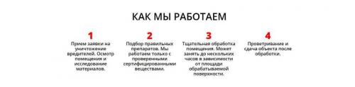 Дезинфекция от насекомых 24/7. Лучшие службы дезинфекции от клопов в Москве
