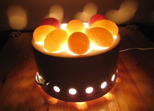 Как определить, сварились ли яйца на пару. Топ-5 способов определить, проходил ли продукт термическую обработку