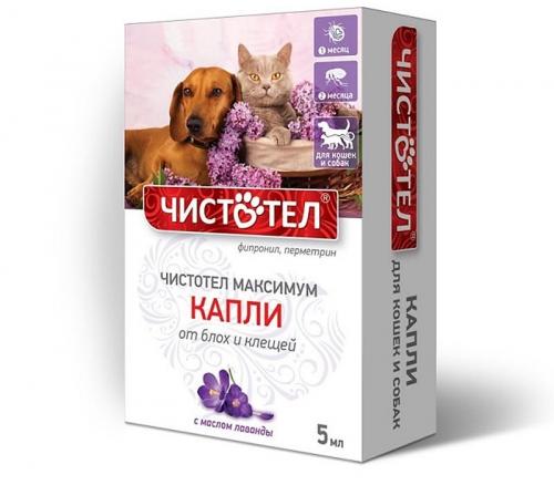 Как выводятся блохи. Как обнаружить блох? 04 Как выводятся блохи. Как обнаружить блох? 04