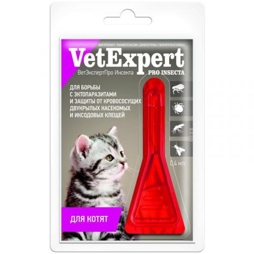 Как выводятся блохи. Как обнаружить блох? 07 Как выводятся блохи. Как обнаружить блох? 07