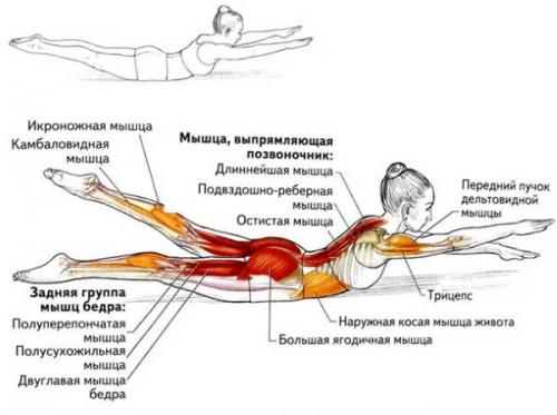 Какие бывают методы растяжки лодочек. Правила и особенности