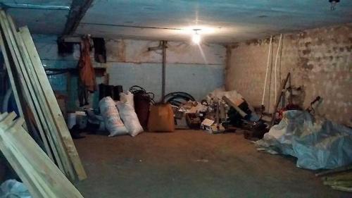 По дому прыгают блохи: как избавиться от этих неприятных гостей 01