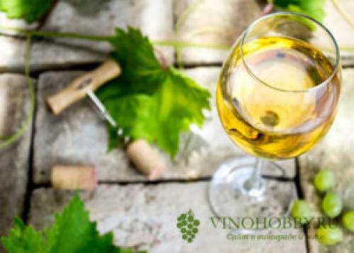 Можно ли хранить открытое вино не в холодильнике. Правильное хранение открытого вина