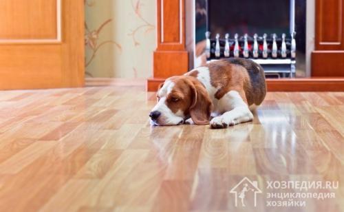 Как ухаживать за ламинатом, как его мыть и чем обрабатывать. Чем мыть ламинат