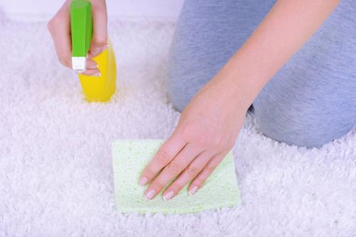 Профессиональный подход к устранению запаха мочи на паласе 01 Профессиональный подход к устранению запаха мочи на паласе 01