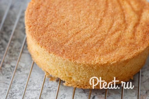 Выравнивание торта. Сборка и выравнивание торта