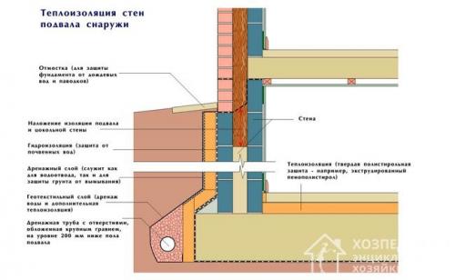 Как избавиться от плесени в подвале дома. Способы борьбы