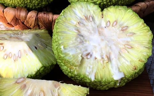 Какие условия хранения оптимальны для адамового яблока. Правила хранения