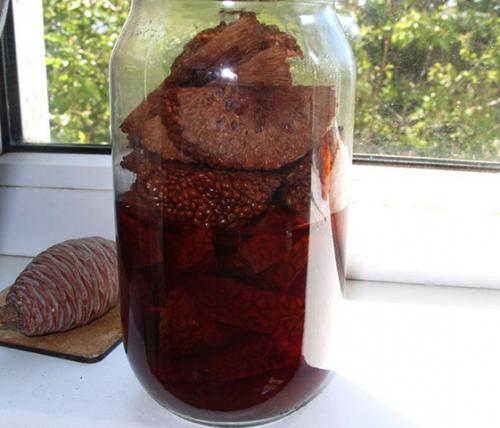 Какие условия хранения оптимальны для адамового яблока. Правила хранения