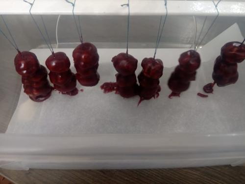 Как размягчить настоящую грузинскую чурчхелу. С грецким орехом из виноградного сока 23 Как размягчить настоящую грузинскую чурчхелу. С грецким орехом из виноградного сока 23