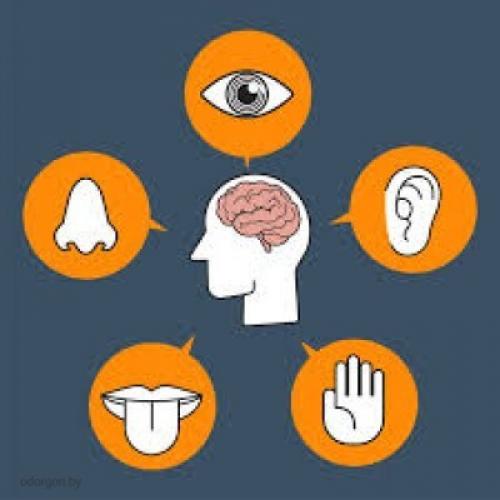 Какие причины могут привести к появлению запаха гари после пожара. Безопасно ли находиться в доме, после пожара?