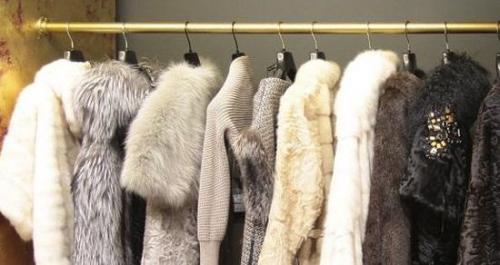 От чего заводится моль в квартире. Откуда появляется моль платяная?