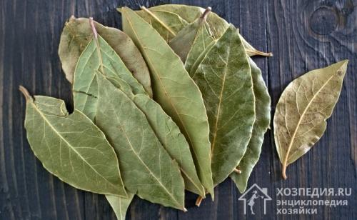 Уксусный раствор от жучков. Методы избавления от черных жучков на кухне