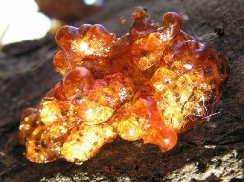 Простые способы удаления смолы с ткани 02