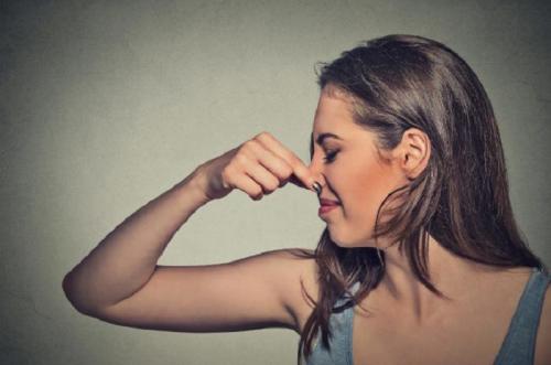 Как удалить запах рыбы из помещения. Методы устранения 11 Как удалить запах рыбы из помещения. Методы устранения 11