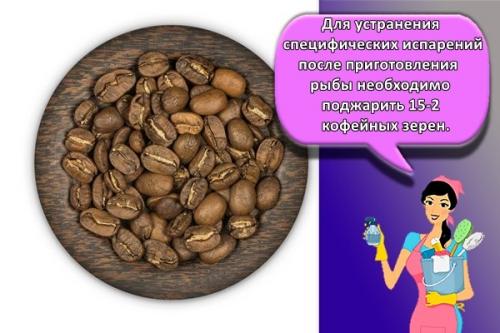 Запах рыбы в квартире. Как вывести