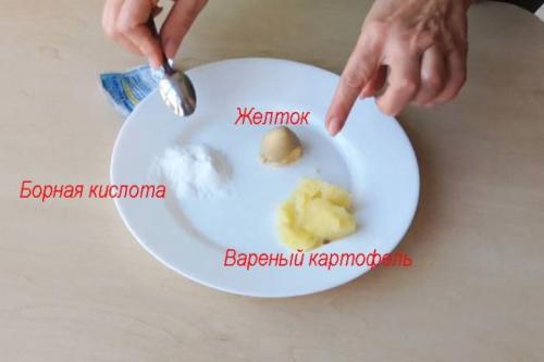 Борная кислота от муравьев в квартире. Кислота в порошке 04 Борная кислота от муравьев в квартире. Кислота в порошке 04