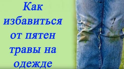 Как отстирать траву с джинс быстро. Чем отстирать траву с джинсов и одежды из других тканей