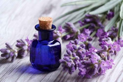 Какие продукты можно использовать для удаления запаха гари