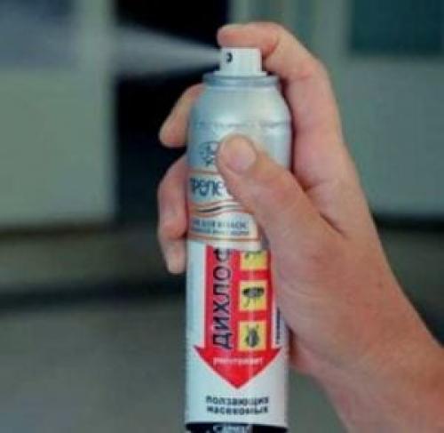 Борная кислота от муравьев. 18 способов избавления от муравьев