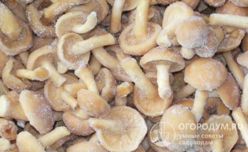 Как сохранить шампиньоны в морозилке. В сыром виде