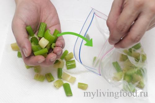 Как хранить сельдерей в морозилке. Как заморозить сельдерей