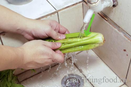 Как хранить сельдерей в морозилке. Как заморозить сельдерей