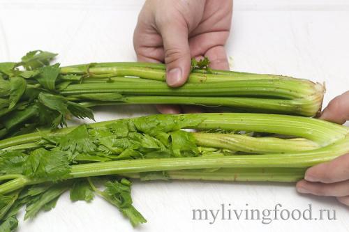 Как хранить сельдерей в морозилке. Как заморозить сельдерей