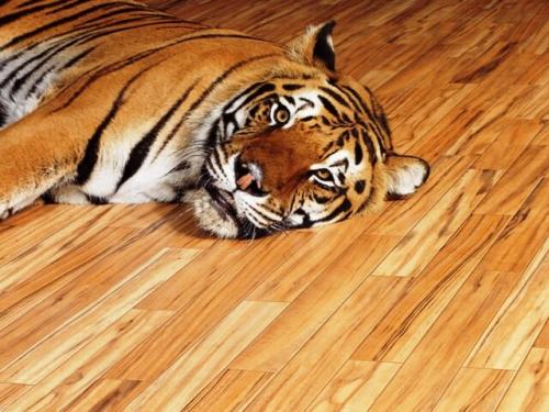 Чем отмыть йод с линолеума. Йод попал на линолеум — подскажем, чем отмыть!