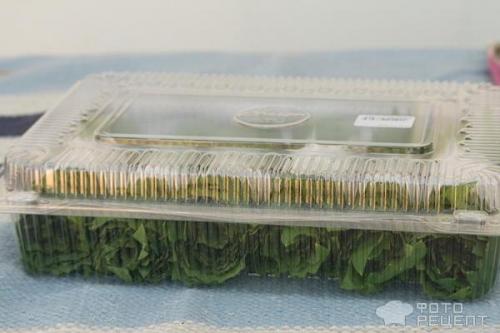 Как сохранить листья винограда для долмы. Рецепт: Виноградные листья-заготовки для долмы - Как сохранить несколько суток, если ничего нет под рукой.