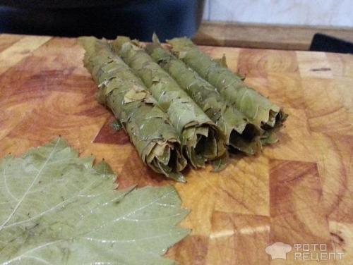 Как сохранить листья винограда для долмы. Рецепт: Виноградные листья-заготовки для долмы - Как сохранить несколько суток, если ничего нет под рукой.