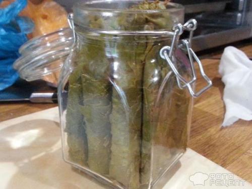 Как сохранить листья винограда для долмы. Рецепт: Виноградные листья-заготовки для долмы - Как сохранить несколько суток, если ничего нет под рукой.