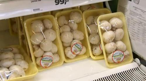 Сколько хранятся шампиньоны без холодильника. Сроки и условия хранения шампиньонов