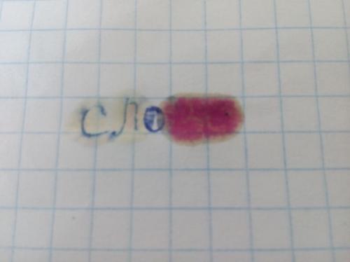 Как вывести чернила с пенала. Когда нужно бесследно удалить чернила с листа