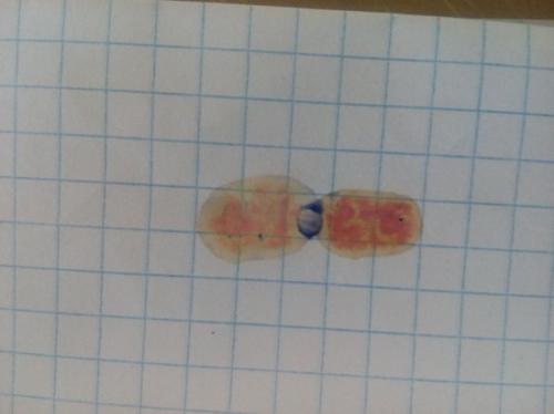 Как вывести чернила с пенала. Когда нужно бесследно удалить чернила с листа