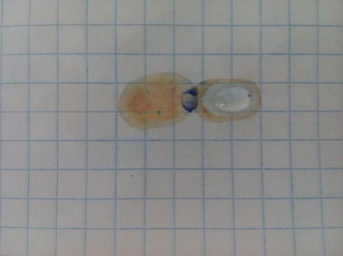 Как вывести чернила с пенала. Когда нужно бесследно удалить чернила с листа