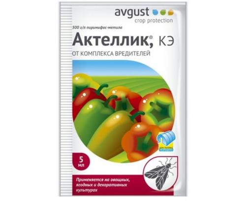 Как избавиться от двухвосток на огороде. Отрава для двухвосток