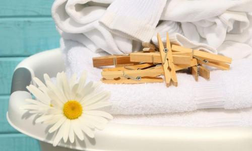 Кипятить белье с растительным маслом. Зачем опытные хозяйки добавляют при стирке растительное масло