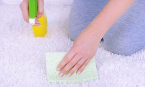 Как вывести запах мочи с ковра в домашних условиях. Моча