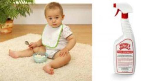 Как убрать застарелый запах мочи с ковра. Как устранить запах мочи с ковра: советы и рекомендации