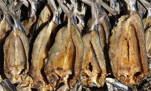 Как хранить таранку после сушки. Условия и основные способы хранения таранки 01