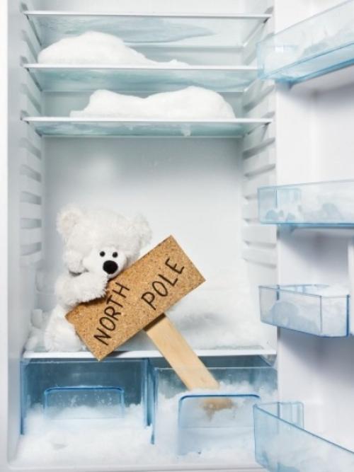 Можно ли ставить горячую воду в холодильник при разморозке. Холодильник с капельной системой разморозки