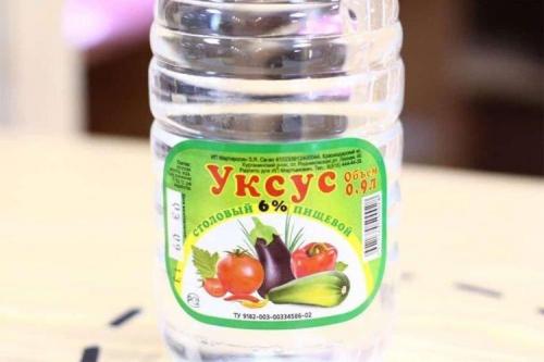 Отрава для тараканов своими руками. Как избавиться от тараканов: лучшие народные средства