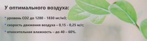 Влажность воздуха норма на улице. Влажность на улице