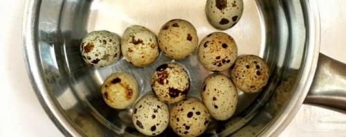 Как варить перепелиные яйца. Сколько варить перепелиные яйца