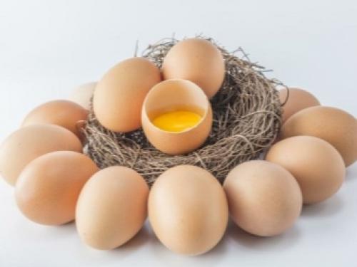 Срок хранения перепелиные яйца. Рекомендации 04