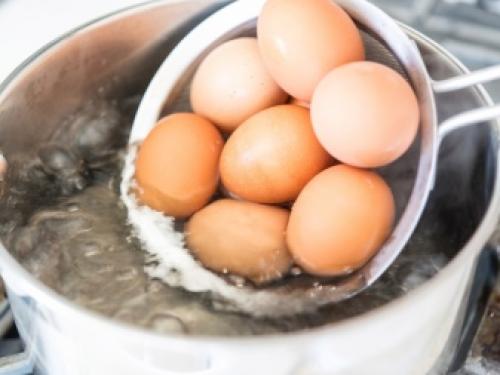 Срок хранения перепелиные яйца. Рекомендации 07