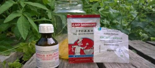 Как бороться с муравьями при помощи борной кислоты. Принцип действия борной кислоты против муравьев в огороде, как действует, применение
