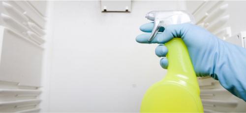 Черная плесень на уплотнителе холодильника. Как избавиться от плесени в холодильнике