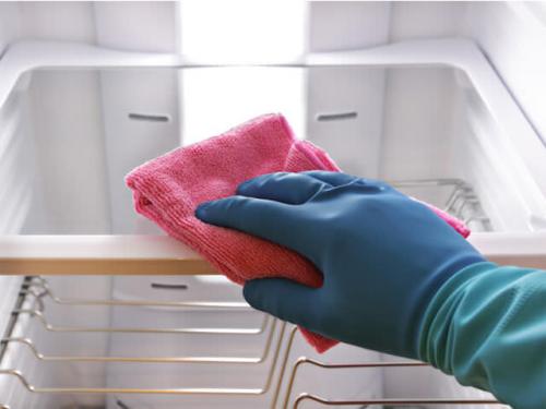 Чем опасна плесень в холодильнике. Почему появляется плесень в холодильнике и как от нее избавиться